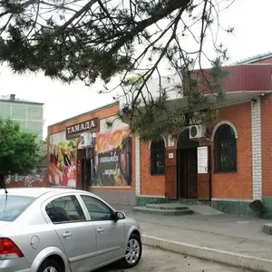 Продаются действующие - магазин,  кафе в с. Кочубеевское ул. Куличенко